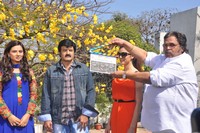 Balakrishna New Movie Launch